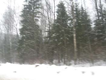 S_Pb_2009 (32)